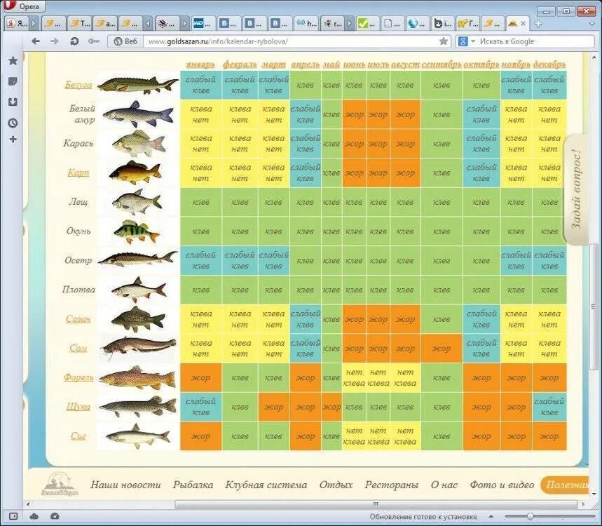 Таблица клева. Календарь клева. Календарь клева сома. На что клюëт рыба список. Клев ru