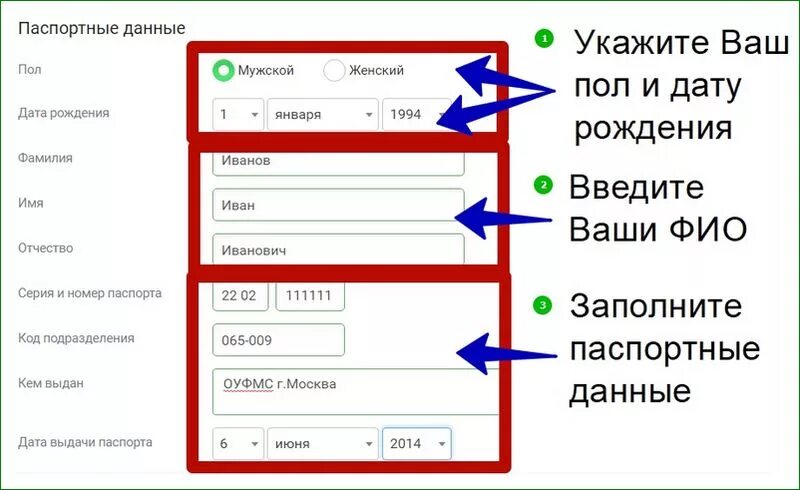 Заполнить паспортные данные. Пример заполнения паспортных данных. Как правильно заполнять паспортные данные. Покупка на озоне паспортные данные