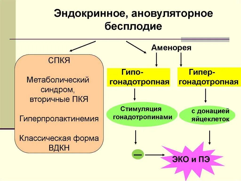 Эндокринный фактор бесплодия. Причины эндокринного бесплодия. Эндокринологическое бесплодие. Эндокринное бесплодие презентация. Бесплодие цикл