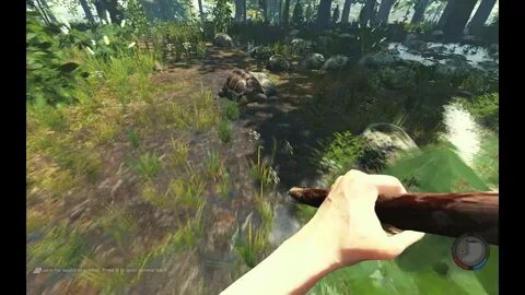 The forest панцирь