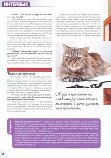 У кошки муси 3 котенка