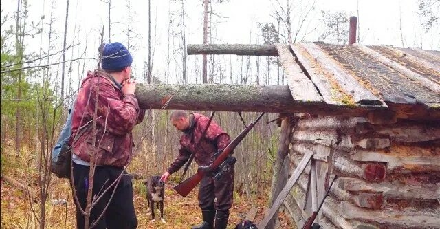 Тайга таежная жизнь. Жизнь в тайге. Таёжные истории жизнь охотников в глубинке. Таежный охотник. Таёжные избы охота и рыбалка.