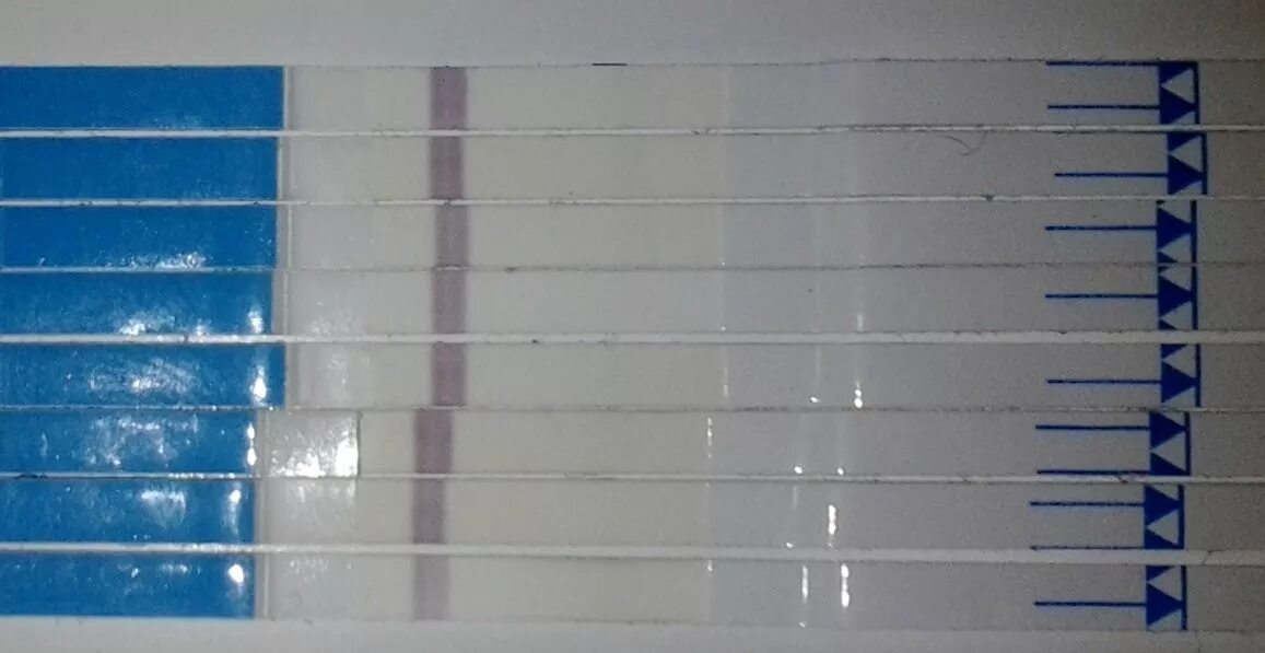 Тест показал беременность на 10 день задержки. Слабая вторая полоска. Тест на беременность слабая вторая полоска до задержки. Задержка 2 дня слабая вторая полоска на тесте. Тест со слабой второй полоской.