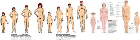 Irresistible nude age progression - lose yourself in erotic growth