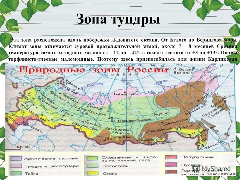 Где расположена зона тундры. Природные зоны тундры и лесотундры на карте. Где находится тундра на карте россии. Тундра на карте россии. Где расположена зона тундры.