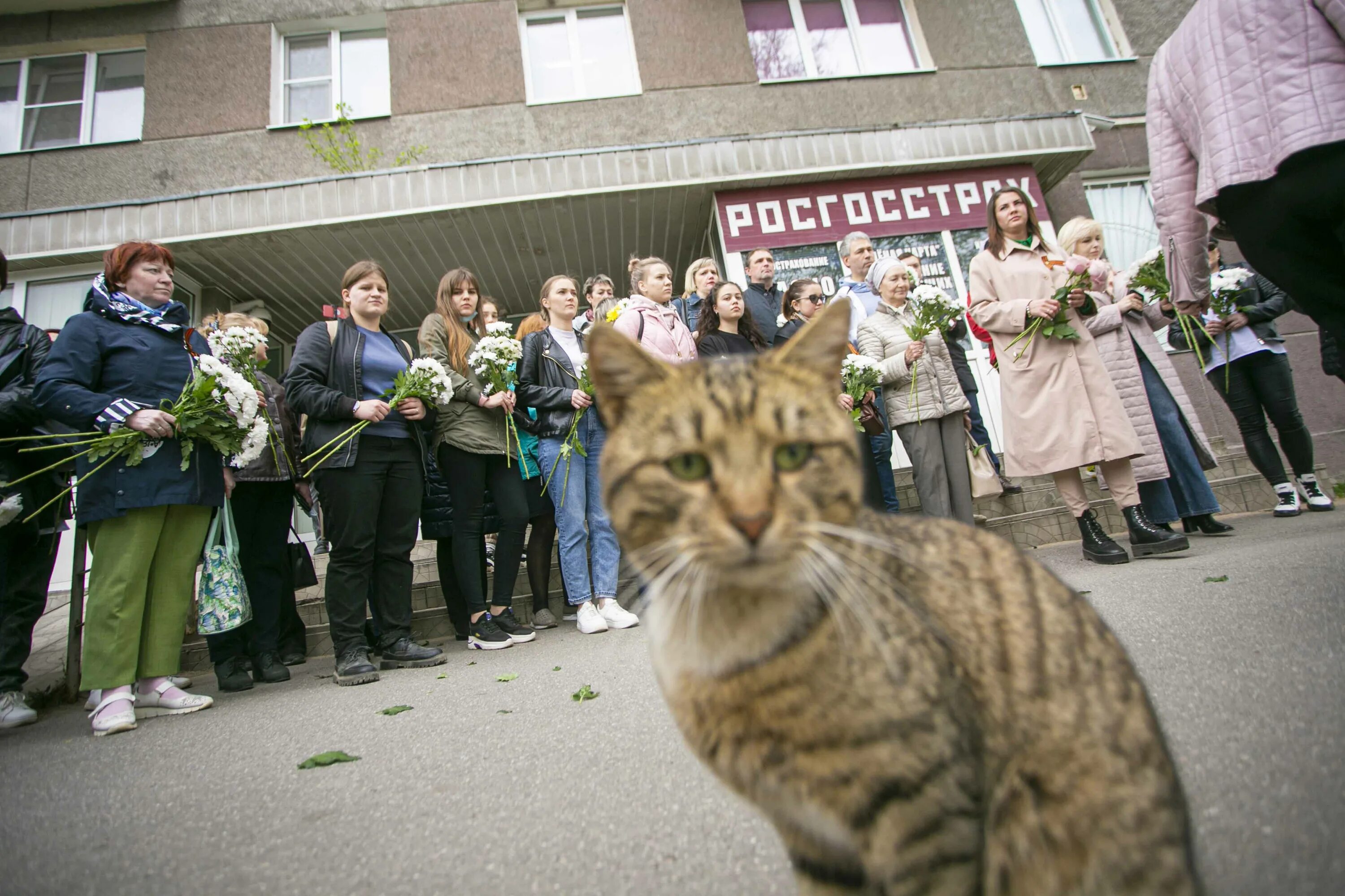 Рижский кот. Активисты в Риге на 9 мая. Рига протесты 9 мая 2022. Консульство Латвии в Пскове. В риге запретили нести цветы