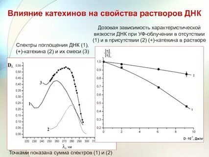 Зависимость растворов