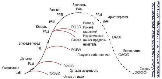Пройти тест адизеса с результатом. Стили менеджмента по адизесу paei. модель адизеса paei. типология адизеса paei. ицхак адизес модель paei.