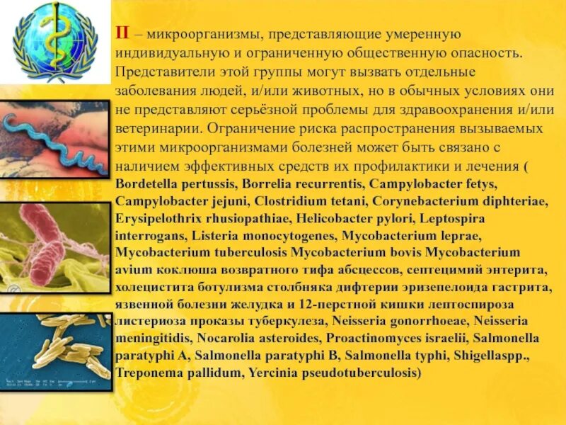 Микроорганизмами ii группы патогенности. Гепатит с группа патогенности. Микроорганизмы представлены. Микроорганизмы по степени патогенности. 1 Группа патогенности микроорганизмов.