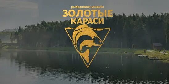 Рыболовная усадьба золотые караси. Золотые караси в Огуднево. Золотой карась. Огуднево рыбалка. Сайт рыбалка золотой