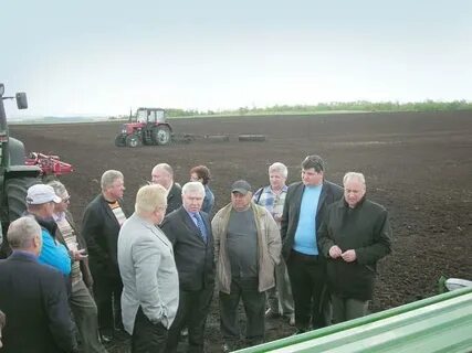 Погода в борме