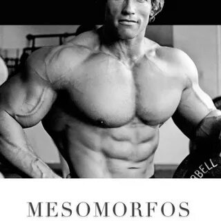 Mesomorfo