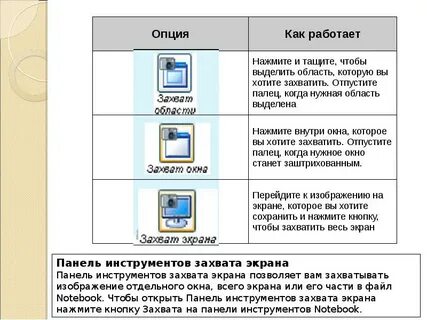 Область экрана выделенная программе