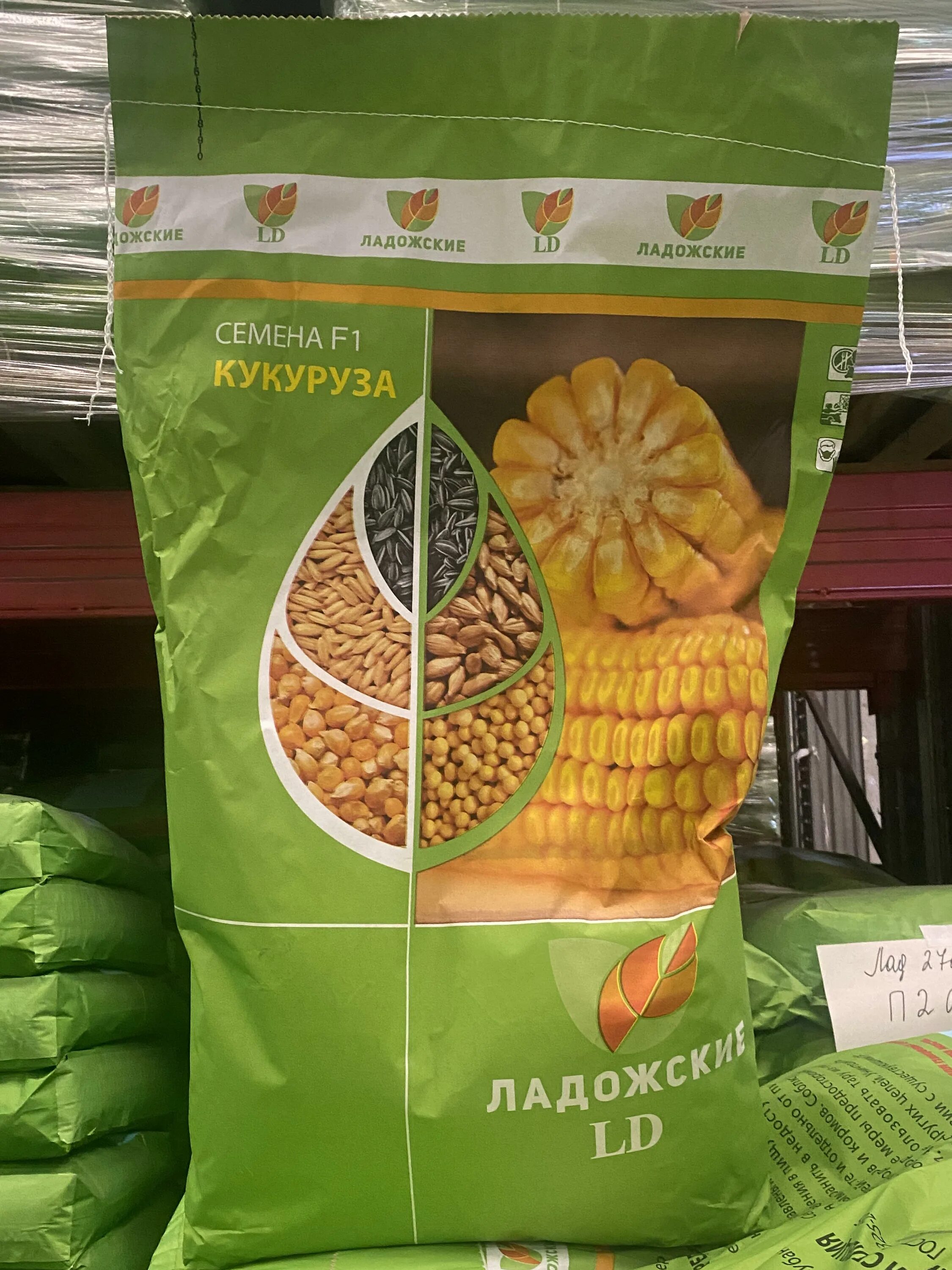 Газаров николай алексеевич гибриды кукурузы ладожские. Ладожский 292 гибрид кукурузы. Семена кукурузы в пакетиках. Сингента елец. Семена ладожские.