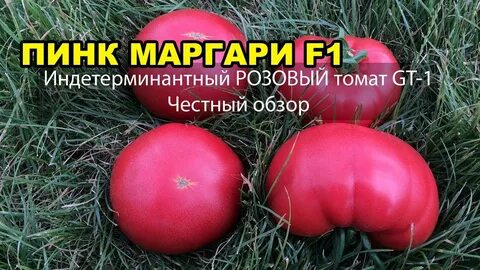 Пинк гарант