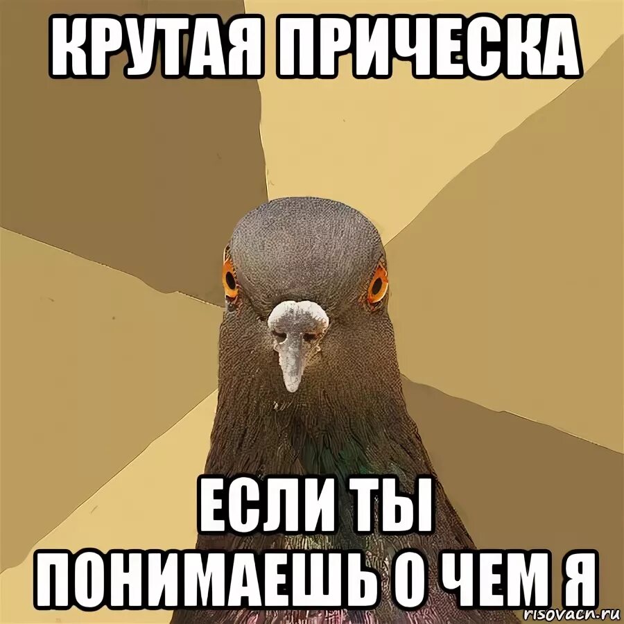 Чем. Вы не понимаете это другое. Вы не онимаете этод ругое. Вы не понимаете это другое Мем. Вы не понимаетеимаете это другое.