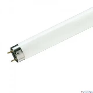 Лампы philips t8