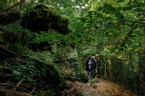 Самые популярные тропы