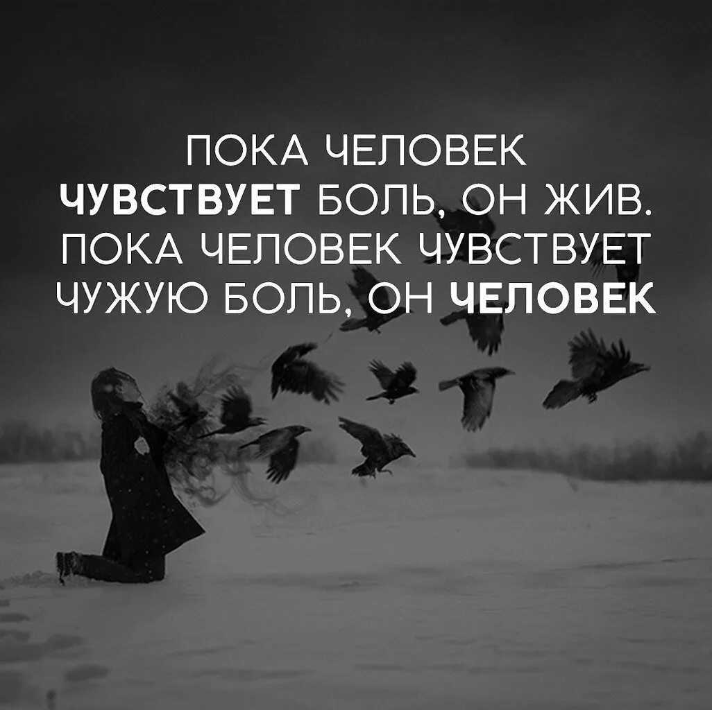 Как проживать чувства. Красивые цитаты. Афоризмы. Цитаты со смыслом. Афоризмы в картинках.