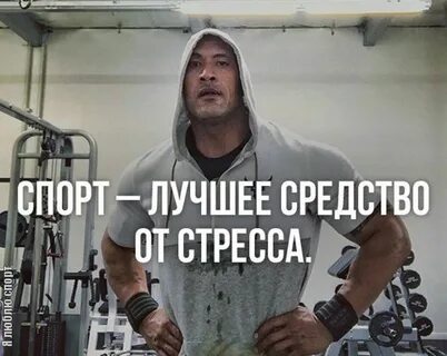 Да это спорт