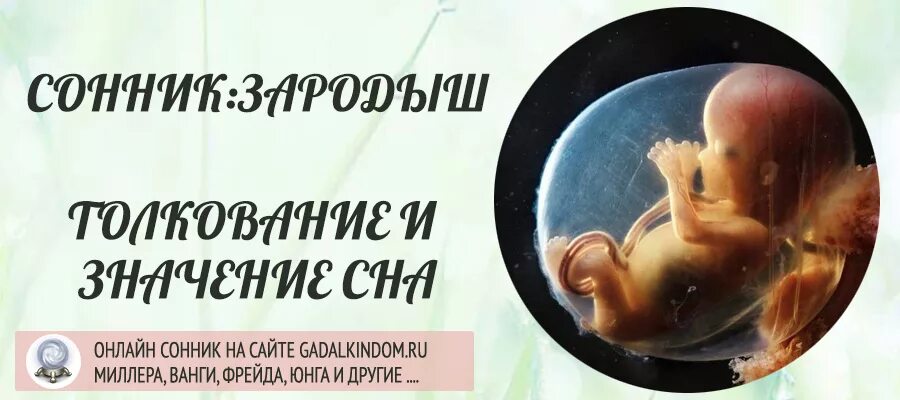 Рожать детей во сне к чему снится. К чему снится эмбрион ребенка. Видеть зародыша во сне ребенка.