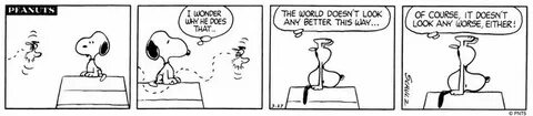 The world doesn t