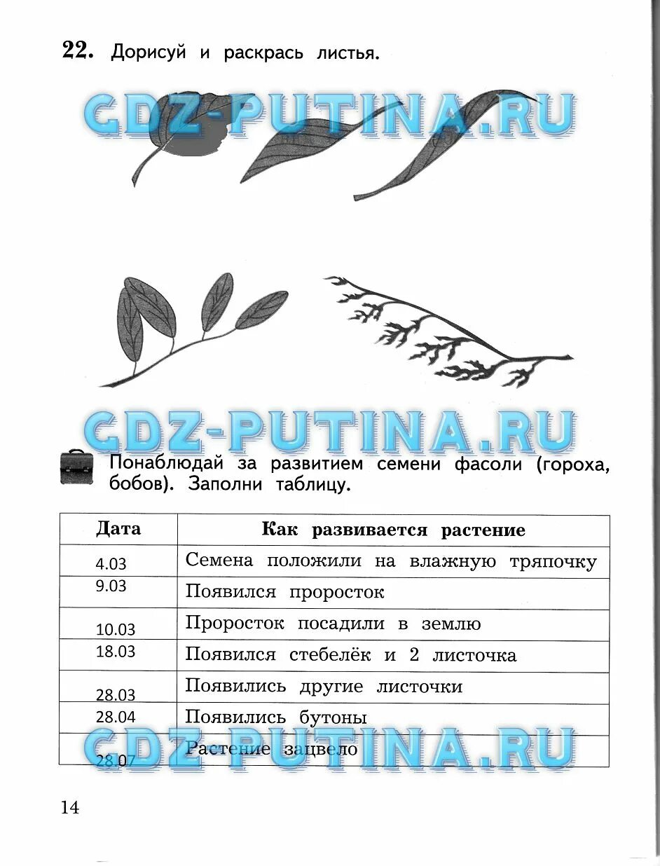 Виноградова рабочая тетрадь 2. Окружающий мир 2 класс рабочая тетрадь 2 часть Виноградова. Тест 2 класс окружающий мир виноградова