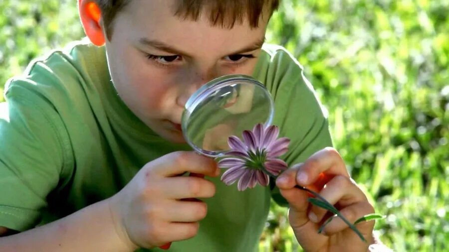 Мир любопытство. Изучение природы. Юные исследователи природы. Дети изучают природу. Дети исследуют природу.