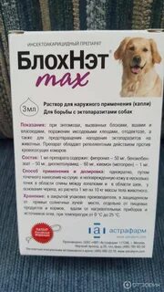 Защита собак от клещей народными средствами