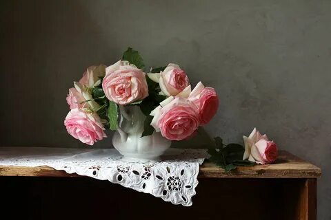 Still rose