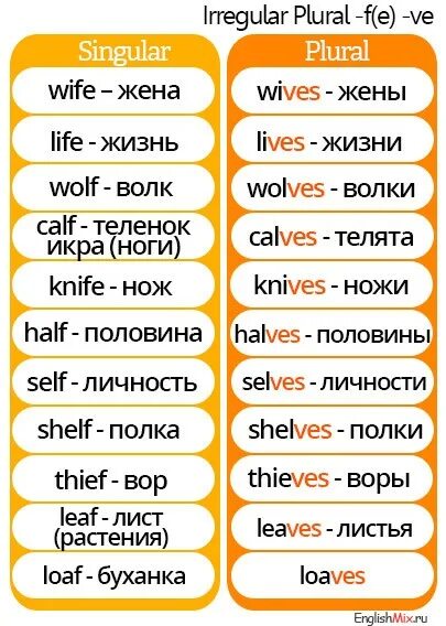 Life во множественном. Wife множественное число в английском языке. Wife во множественном числе на английском. Half множественное число. Half множественное число в английском языке.