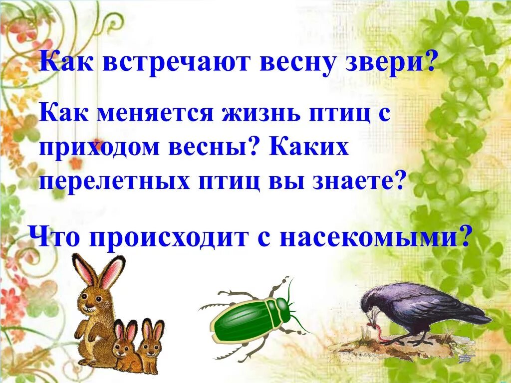 Как звери весну встречают. Как встречают весну животных. Как птицы весну встречают. Как животные весну встречают презентация.