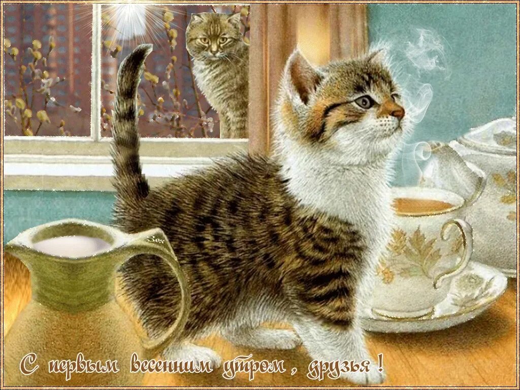 Доброе утро март с котиками. Открытки с добрым утром с котятами. доброе утро котенок. добрый день с кошками. открытки с добрым мартовским утром.