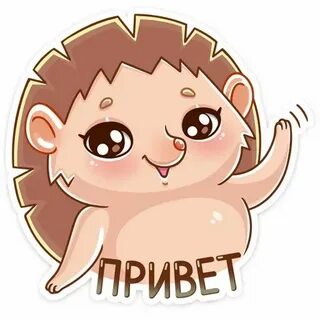 Стикеры ежик
