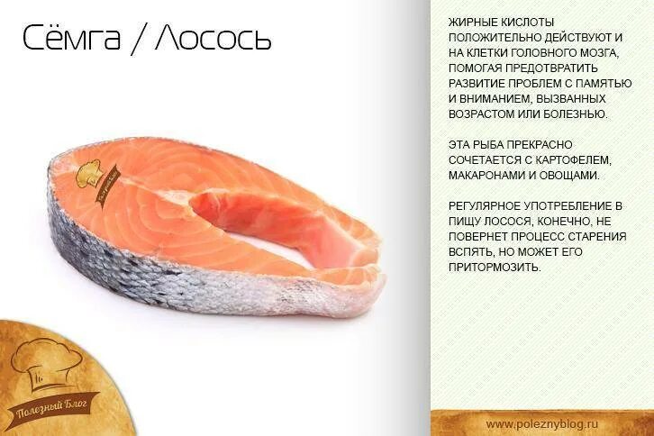 Чем отличается семга от форели и лосося