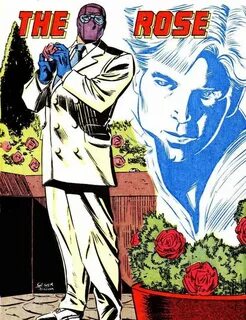 Marvel rose