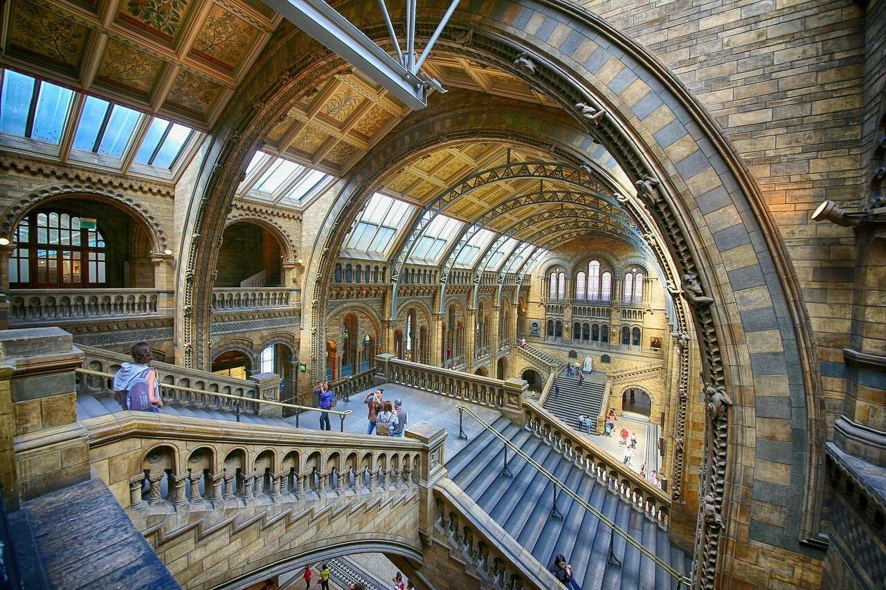 Музей естествознания Лондон. Музей естествознания (natural History Museum). Натурал хистори музей Лондон. Музей natural History в Лондоне.