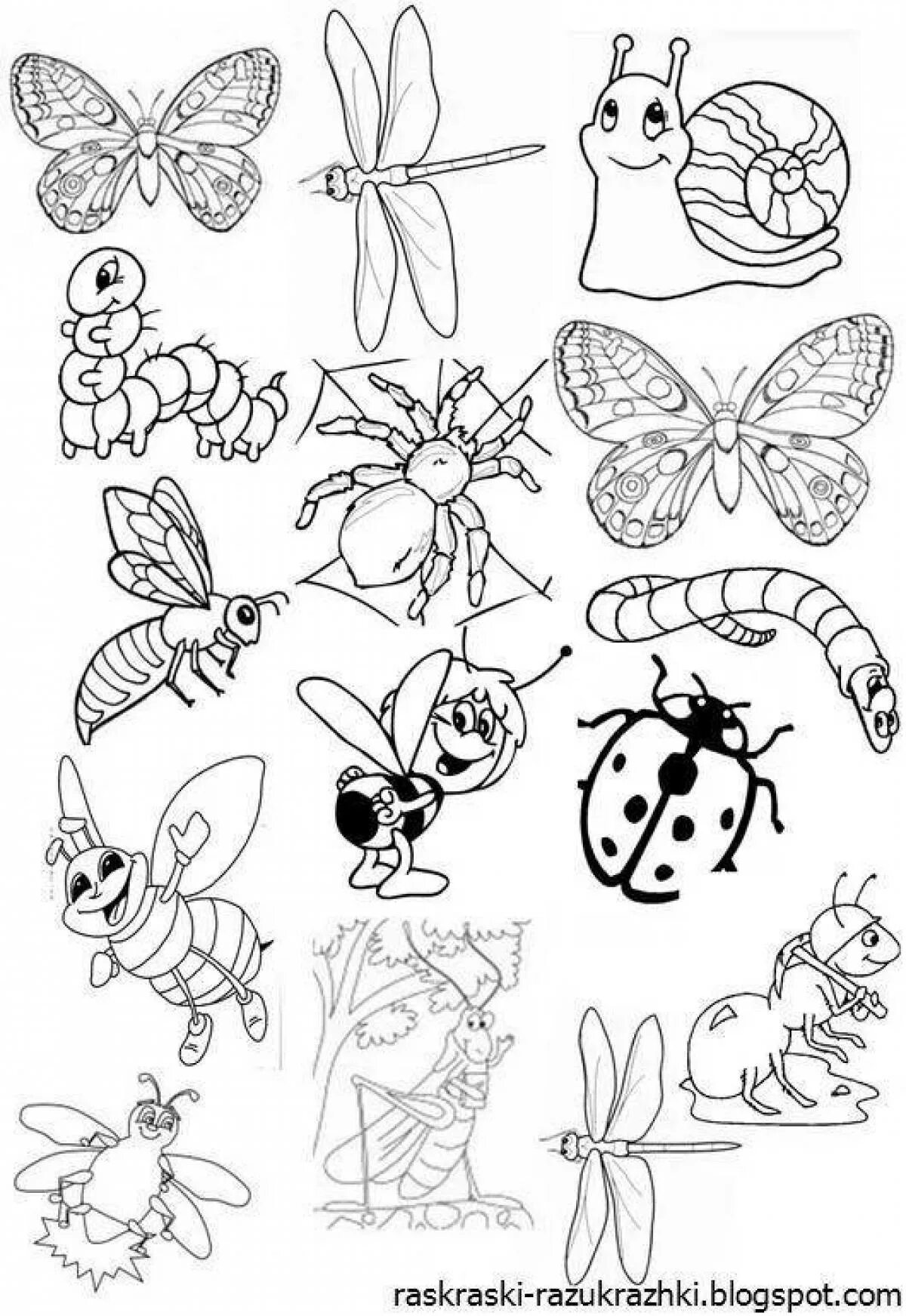 Насекомые раскраски для детей 4 5 лет. Насекомые раскраска для детей. Раскраска насекомые для дошкольников. Раскраски насекомые в средней группе. Разукрась насекомых для дошкольников.