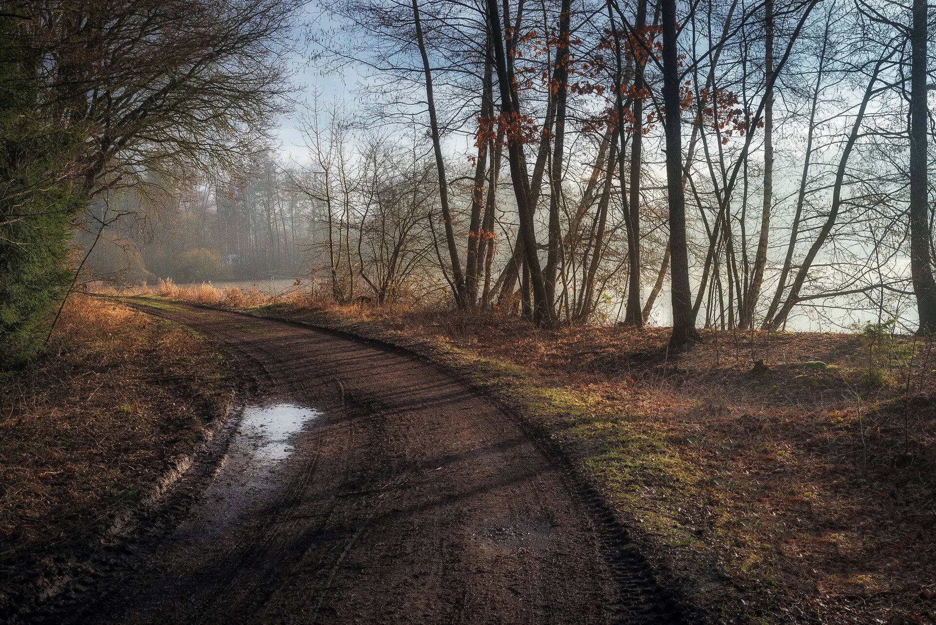 Дорога в лесу. Обочина шоссе березовая роща. Весенняя дорога в лесу. Лесная дорога. Весенняя дорога в лесу.