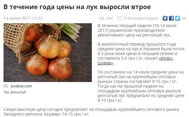Яйцо индоутки фото. Эксибишн семена. Лук по украински перевод. Цибуля. Лук севок стригуновский.