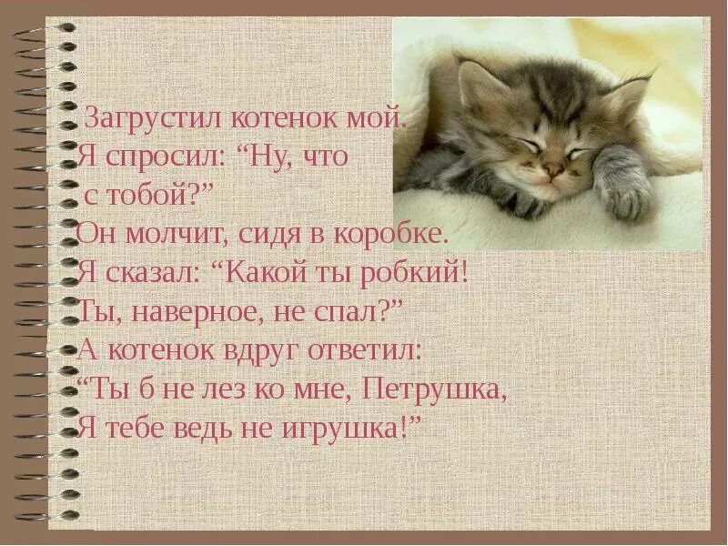 В каких произведениях есть котенок. Сочинение про котенка. Сочинение мой котенок. Описание котенка сочинение. Сочинение на тему кот.