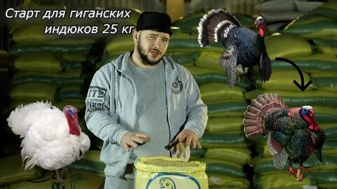 Набор веса индюки