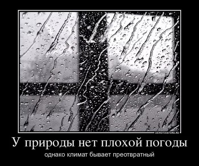 Дождь не не слышали