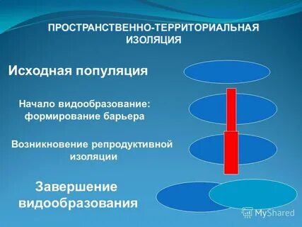 Исходная популяция