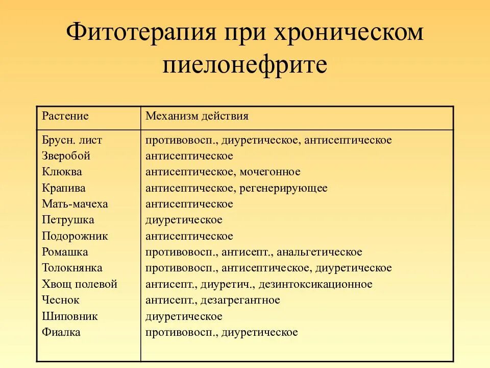 Лекарственные травы рекомендуемые при хроническом пиелонефрите. Фитопрепараты для лечения хронического пиелонефрита:. Фитотерапия заболеваний почек и мочевыводящих путей.. Фитотерапия при остром пиелонефрите.