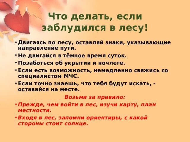 Что нужно делать в лесу если заблудился. Что делать если заблудился. Что делать если заблудился в лесу. Памятка если заблудился в лесу. Что делать если потерялся в лесу.