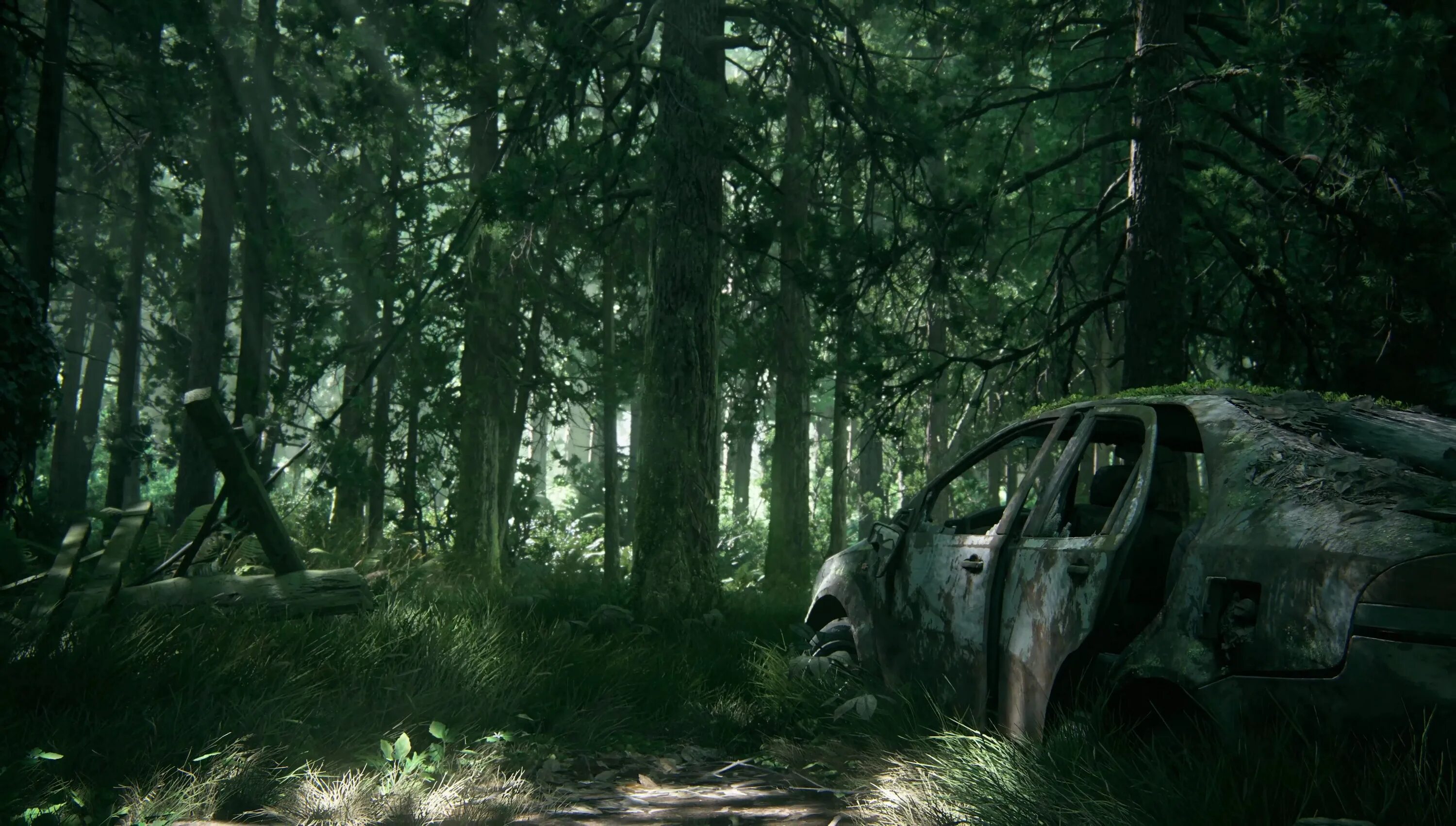 Forest 2 c. The last of us 2 фон.