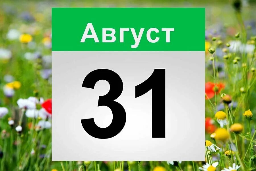 31 первое августа