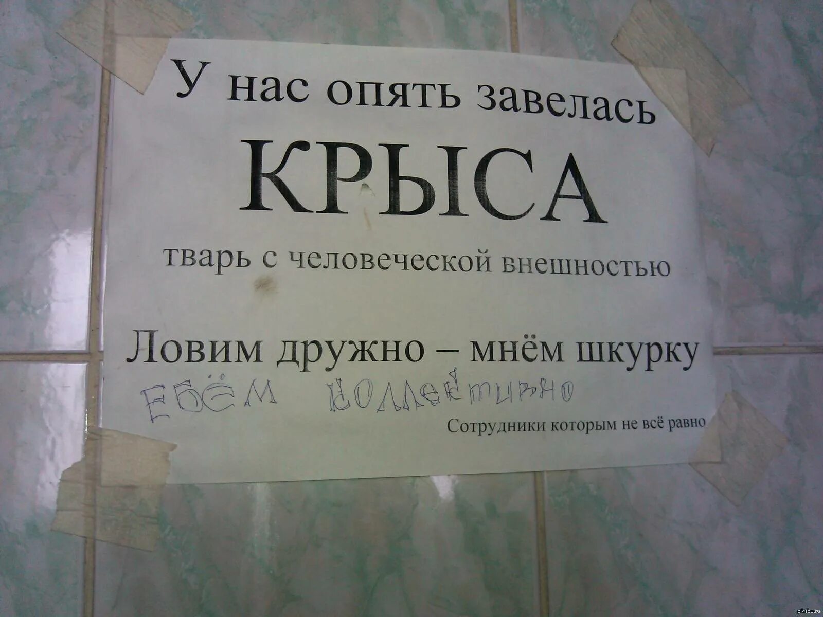 Коллеги смысл слова