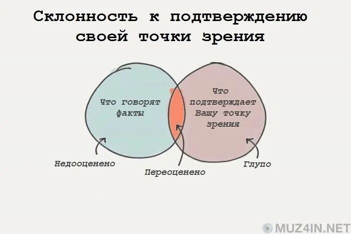 Высказанная точка зрения 6. Различные точки зрения. Склонность к подтверждению своей точки зрения. Иллюстрация разных точек зрения. Навязывание своей точки зрения рисунок.